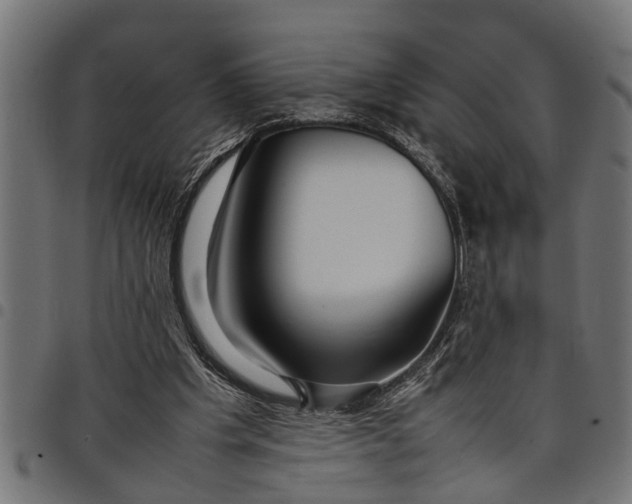 X0000097800201200803281043