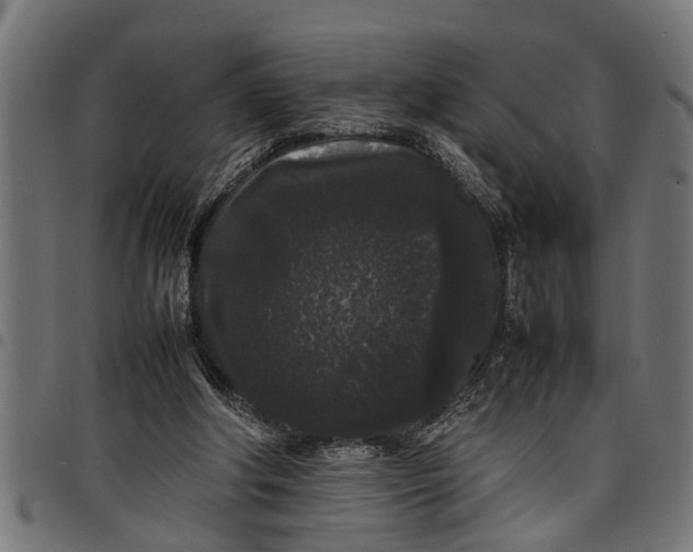 X0000097800202200803281043