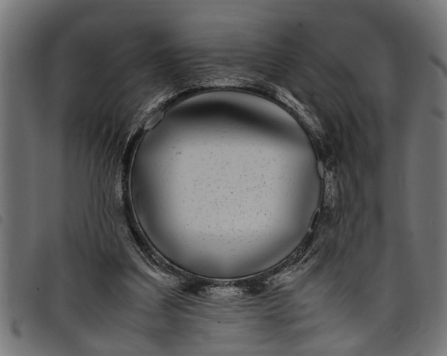 X0000097800203200803281043