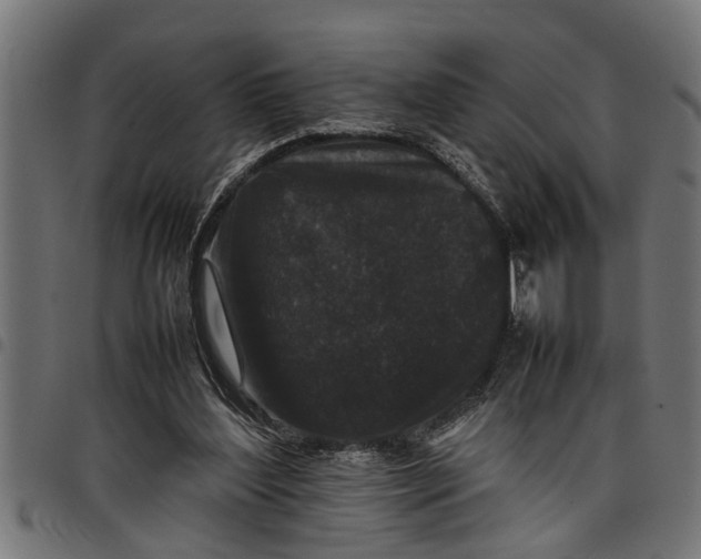 X0000097800204200803281043