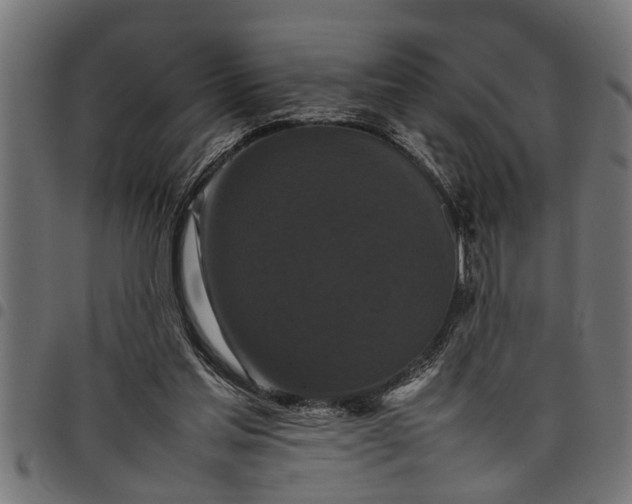 X0000097800205200803281043