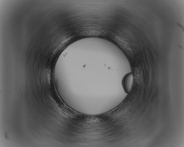 X0000097800206200803281043