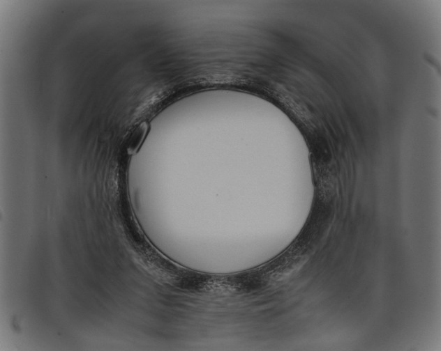 X0000097800207200803281042