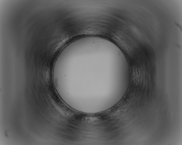 X0000097800208200803281042