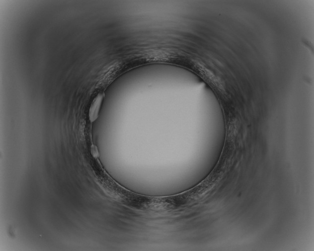 X0000097800209200803281042