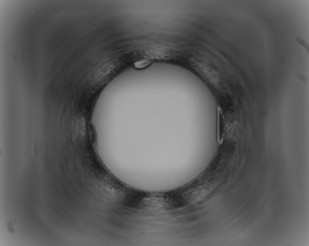 X0000097800211200803281042