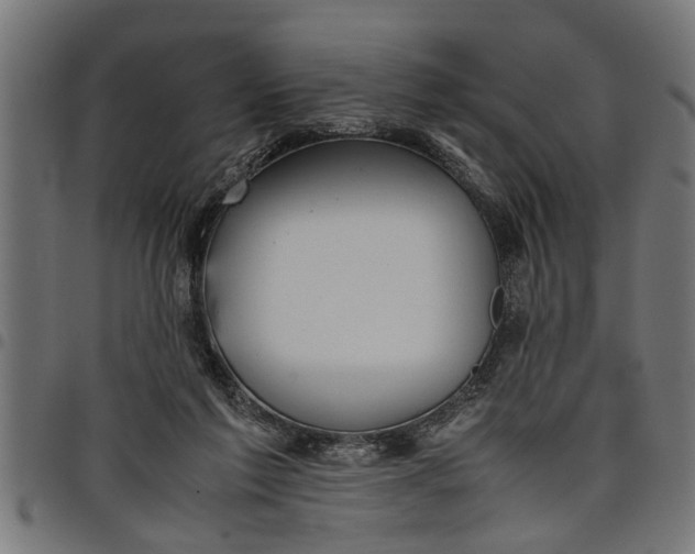 X0000097800213200803281042