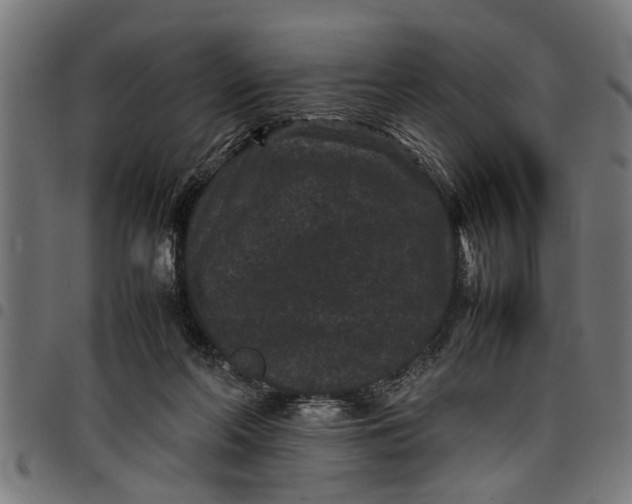 X0000097800214200803281042