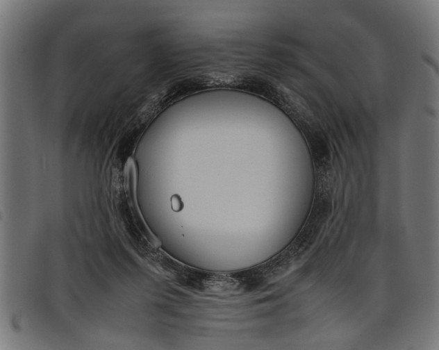 X0000097800215200803281042