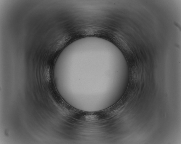 X0000097800216200803281042