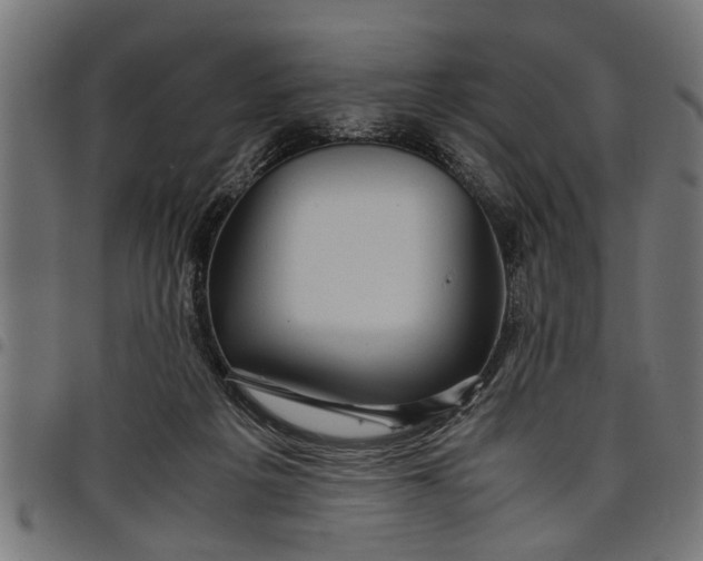 X0000097800217200803281042