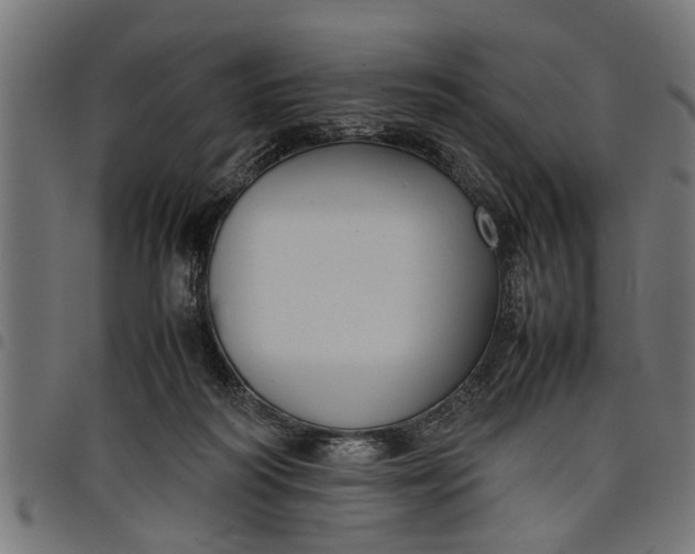 X0000097800218200803281042