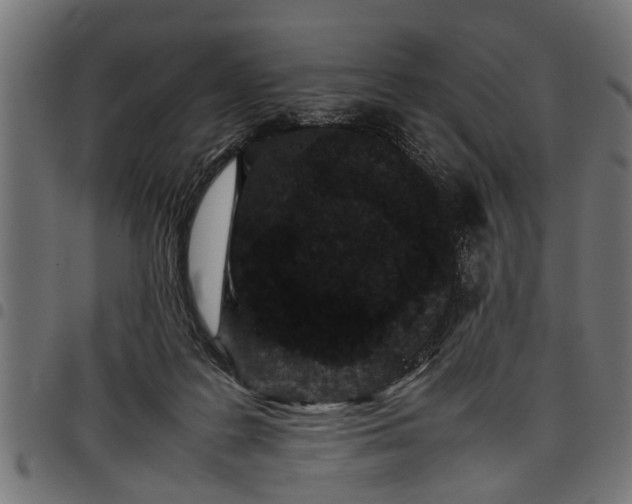 X0000097800219200803281042