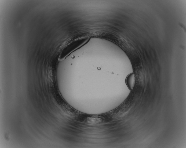 X0000097800220200803281042