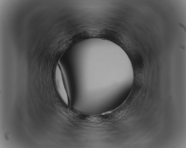 X0000097800221200803281042