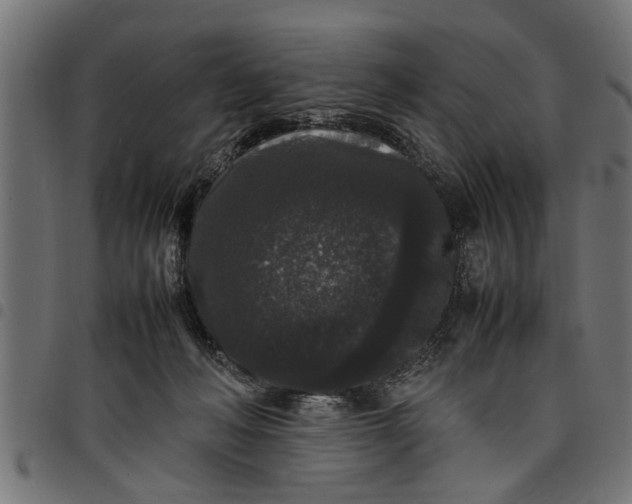 X0000097800222200803281042