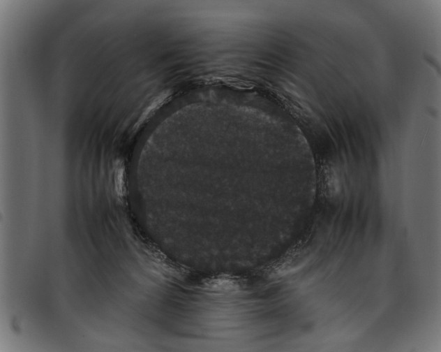 X0000097800224200803281042