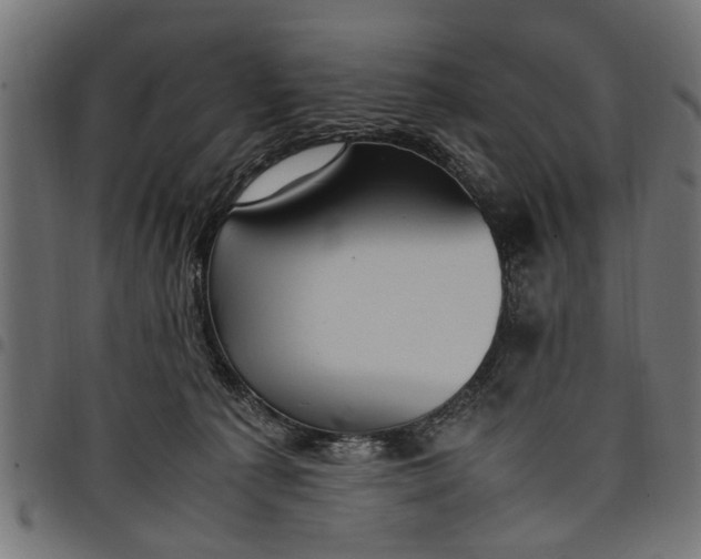 X0000097800225200803281042