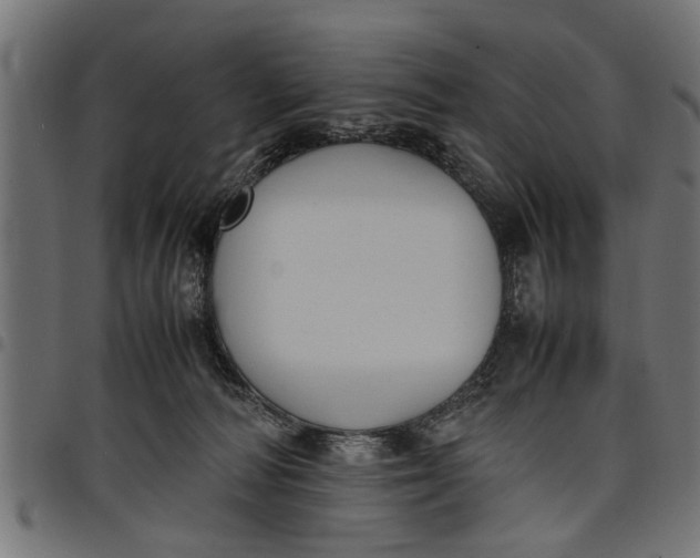 X0000097800226200803281042