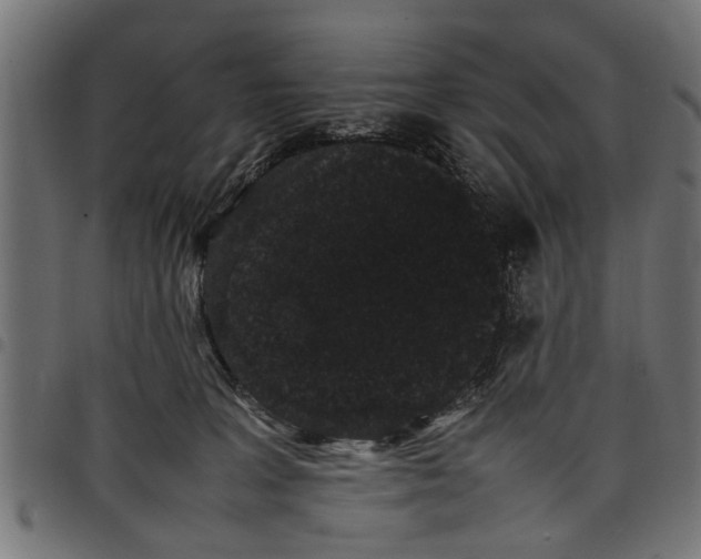 X0000097800227200803281042