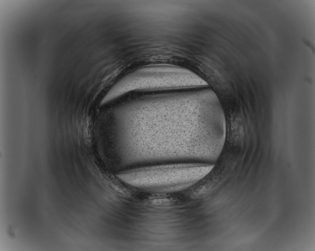 X0000097800228200803281042