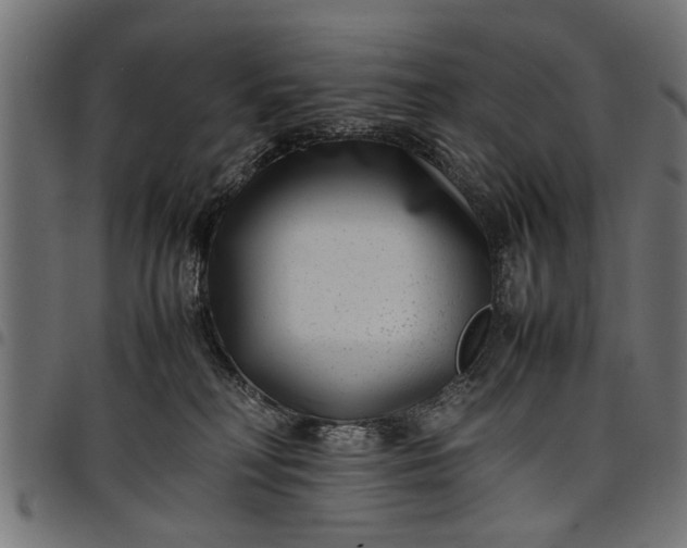 X0000097800230200803281042