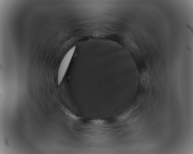 X0000097800233200803281042