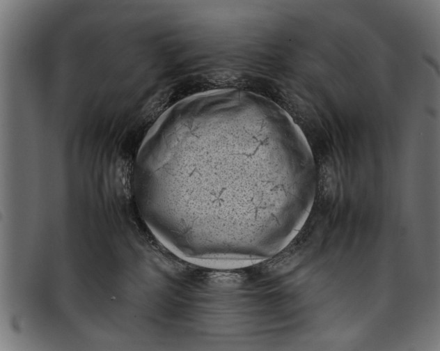 X0000097800234200803281042