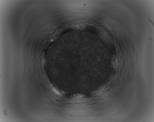 X0000097800235200803281042