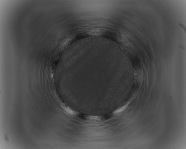 X0000097800237200803281042