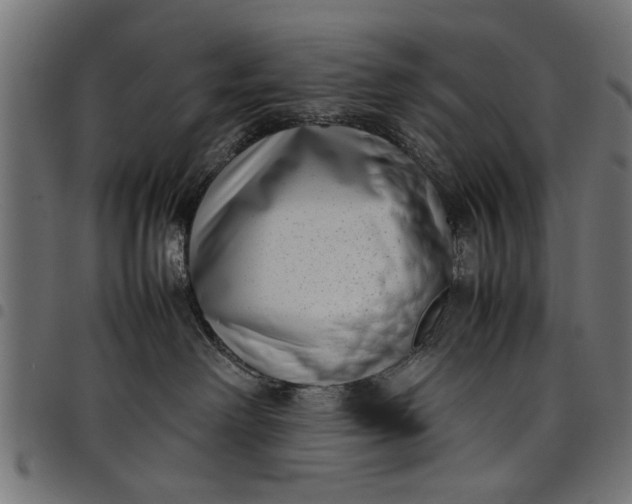 X0000097800238200803281042