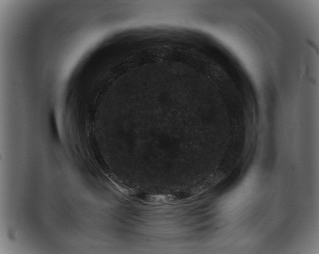 X0000097800239200803281042