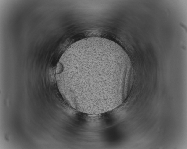 X0000097800240200803281042