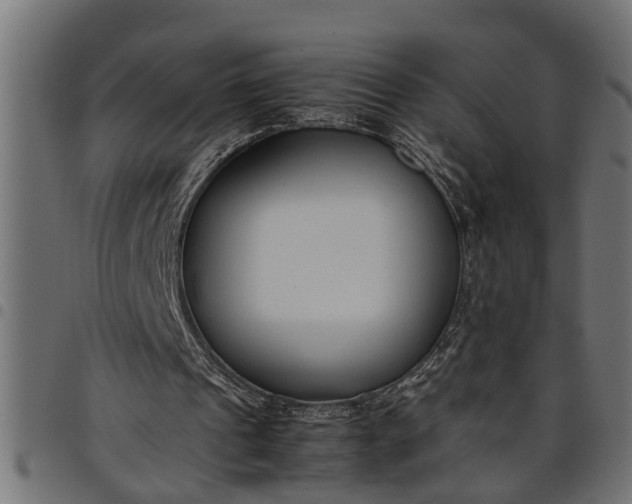 X0000097800241200803281041