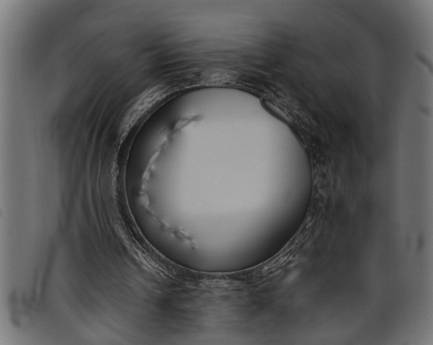 X0000097800242200803281041