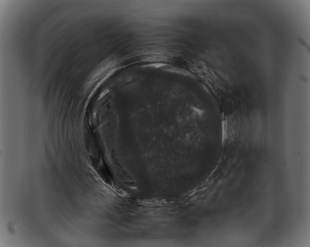 X0000097800243200803281041