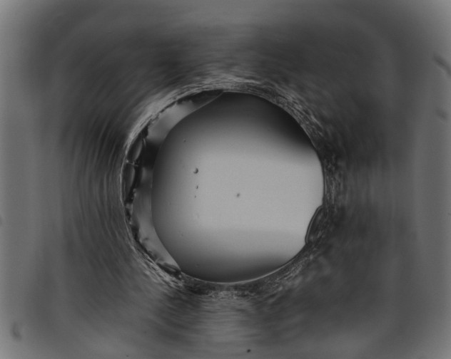 X0000097800244200803281041