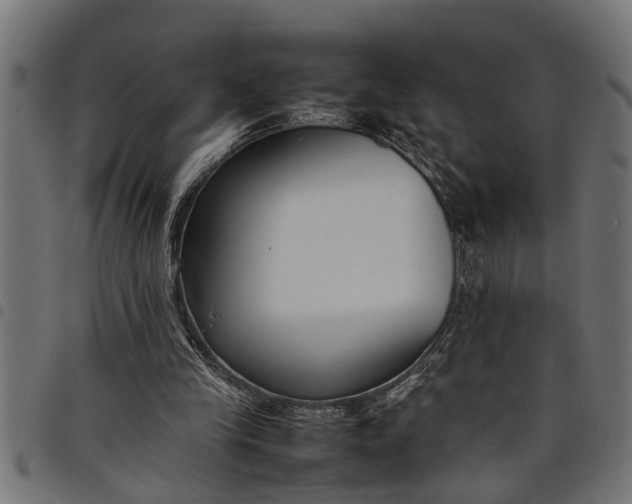 X0000097800245200803281041