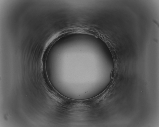 X0000097800246200803281041