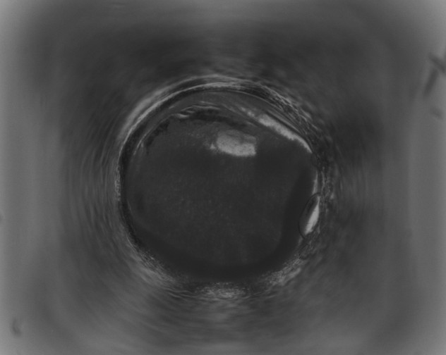 X0000097800247200803281041