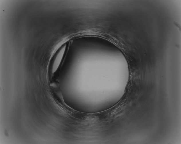 X0000097800248200803281041