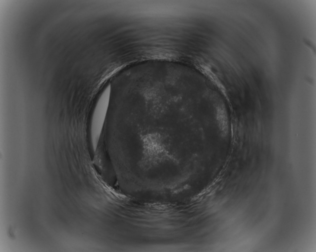 X0000097800249200803281041