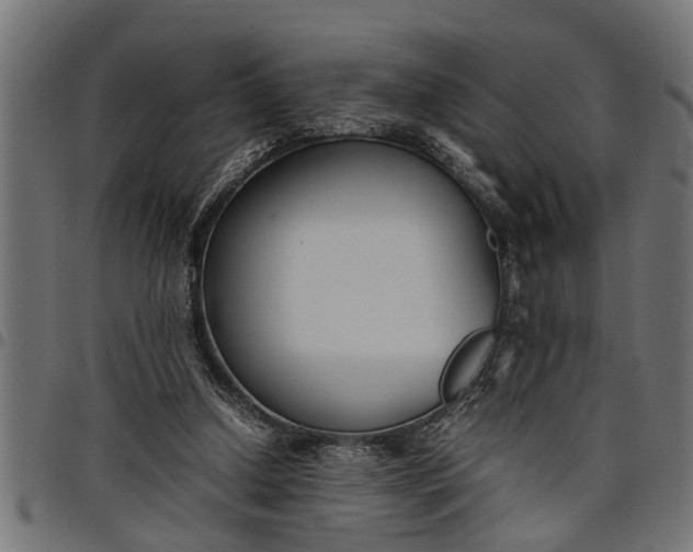 X0000097800250200803281042