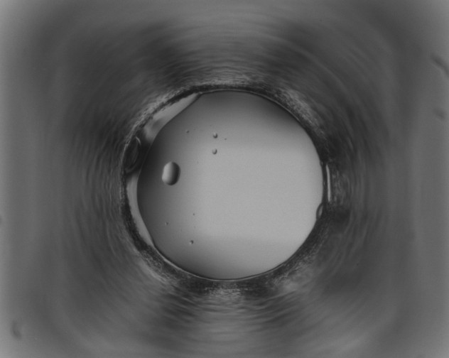 X0000097800252200803281042