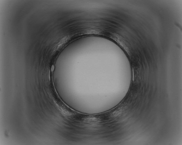 X0000097800253200803281042