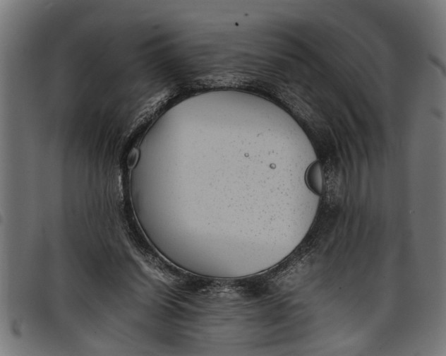 X0000097800254200803281042