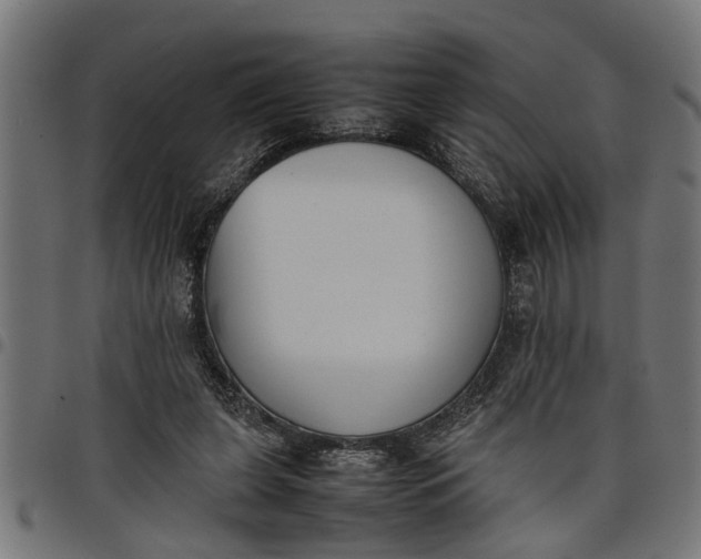 X0000097800255200803281042