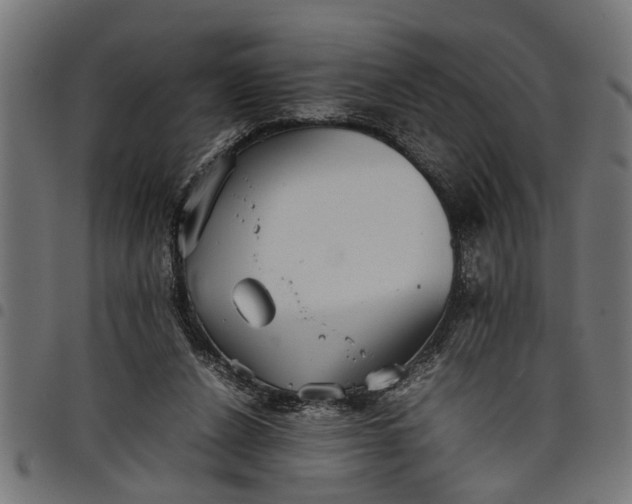 X0000097800256200803281042