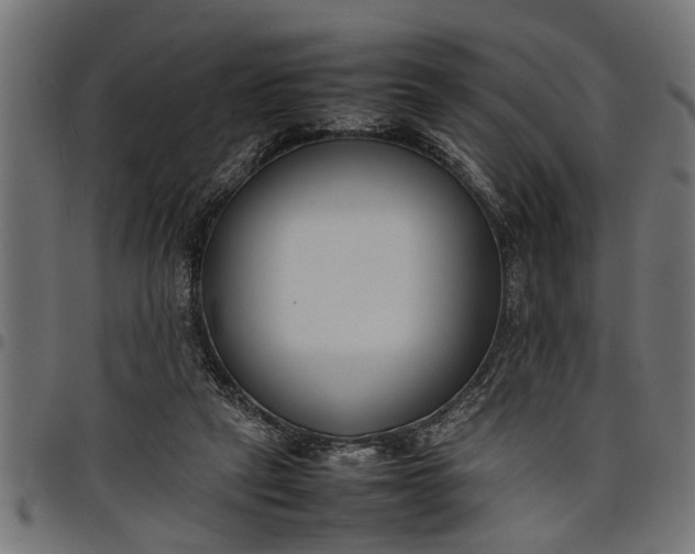 X0000097800257200803281042