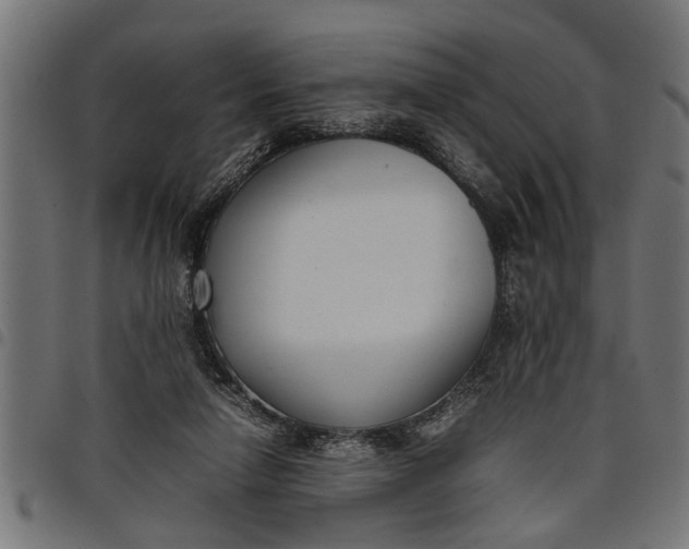 X0000097800258200803281042